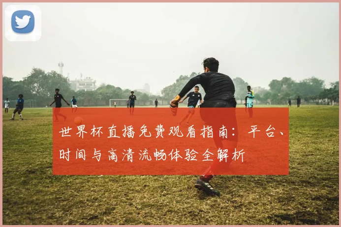 世界杯直播免费观看指南：平台、时间与高清流畅体验全解析